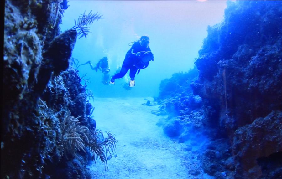 IWDD 7/2017 Bahamas