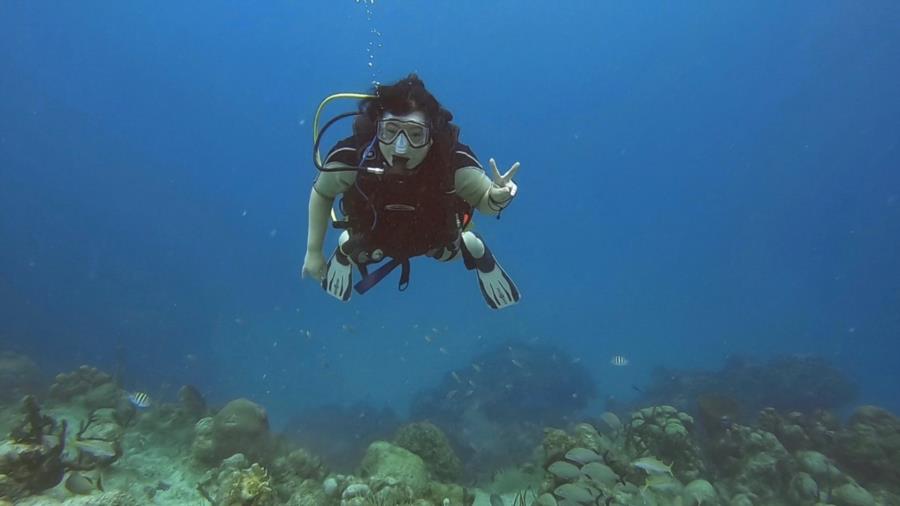 Turtle Reef, Grand Cayman