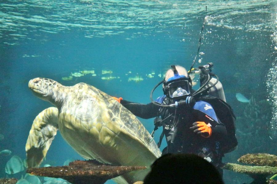 Me and Calypso, National Aquarium, Baltimore, Md.