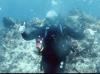Diving Florida Keys