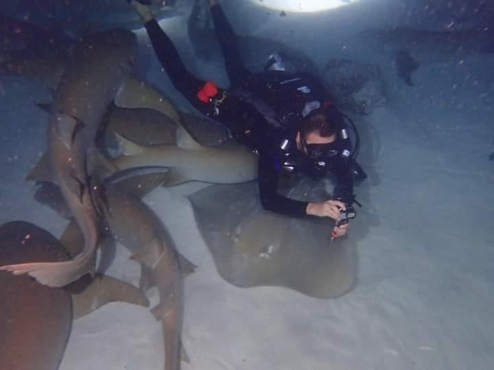 Diving Maldives