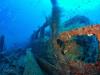 Schurz Wreck NC