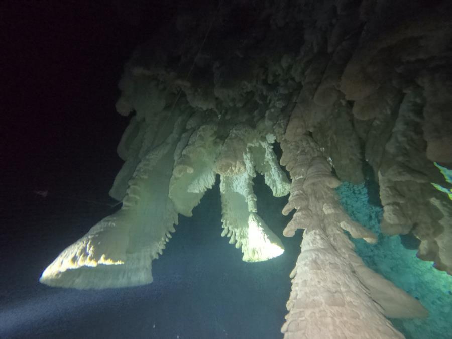 Hells Bells Cenotes Mexico