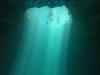 Free diving in Cenotes