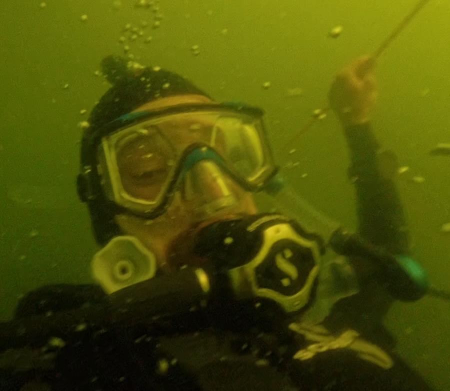 LiquidDiver’s Profile Photo