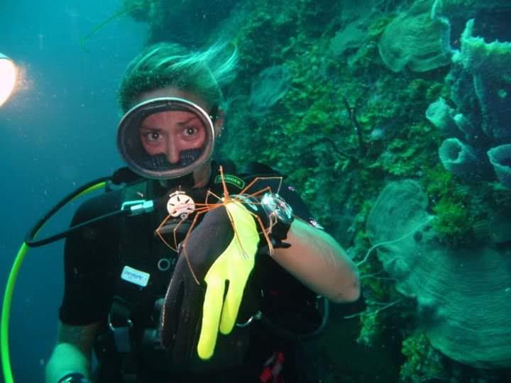 Wall off Eleuthera, Bahamas