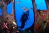Diving 4