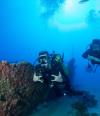 MainLineDiver’s Profile Photo