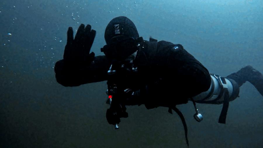 Dave_Dives_Sidemount’s Profile Photo