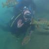 Lake Travis Checkout Dive