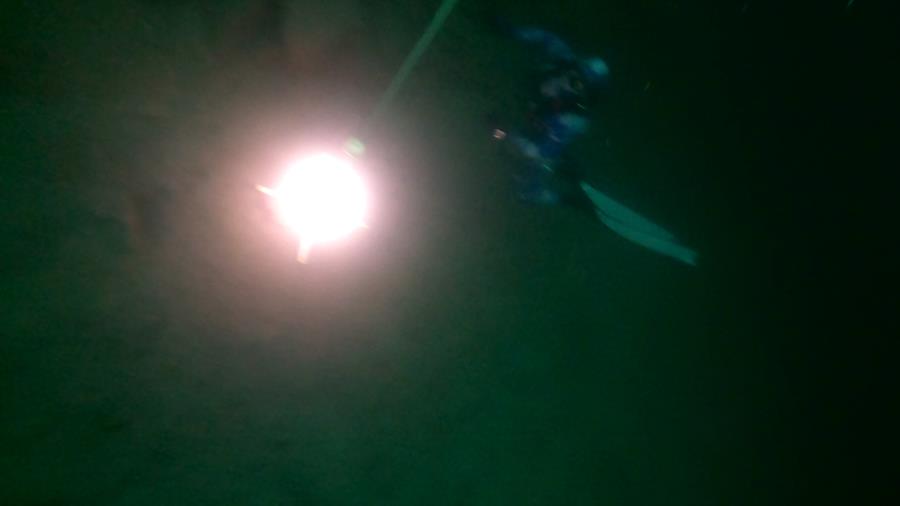 Lantern in the deep