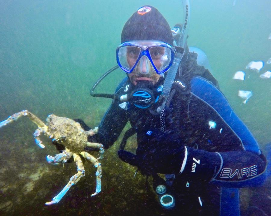Alex and the sheep crab