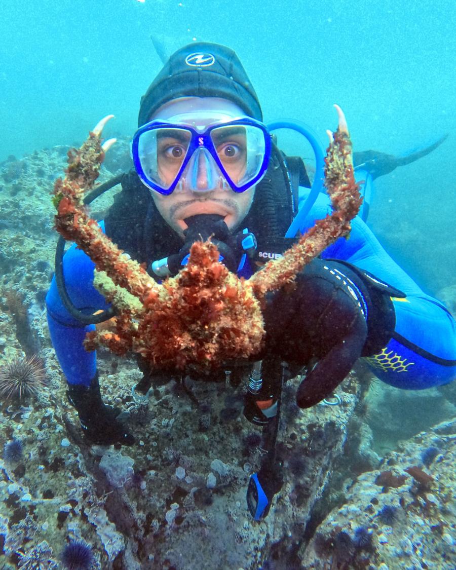 Alfredo and a sheep crab
