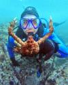 Alfredo and a sheep crab