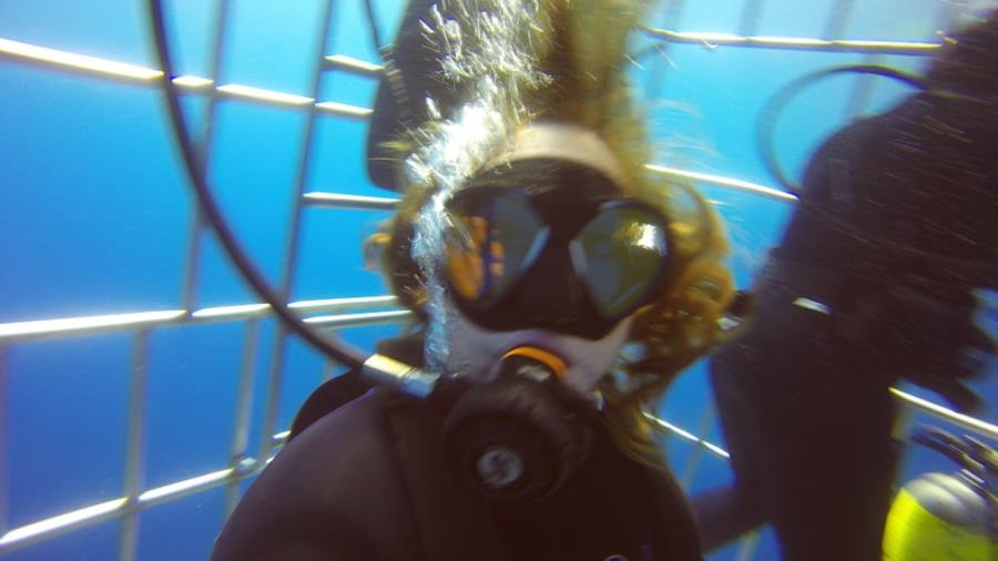 Shark Cage Dive