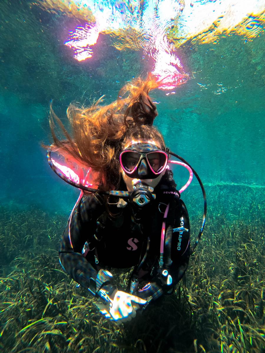 Florida Springs Dive