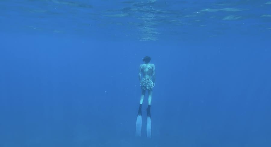 Sharks Cove, Oahu