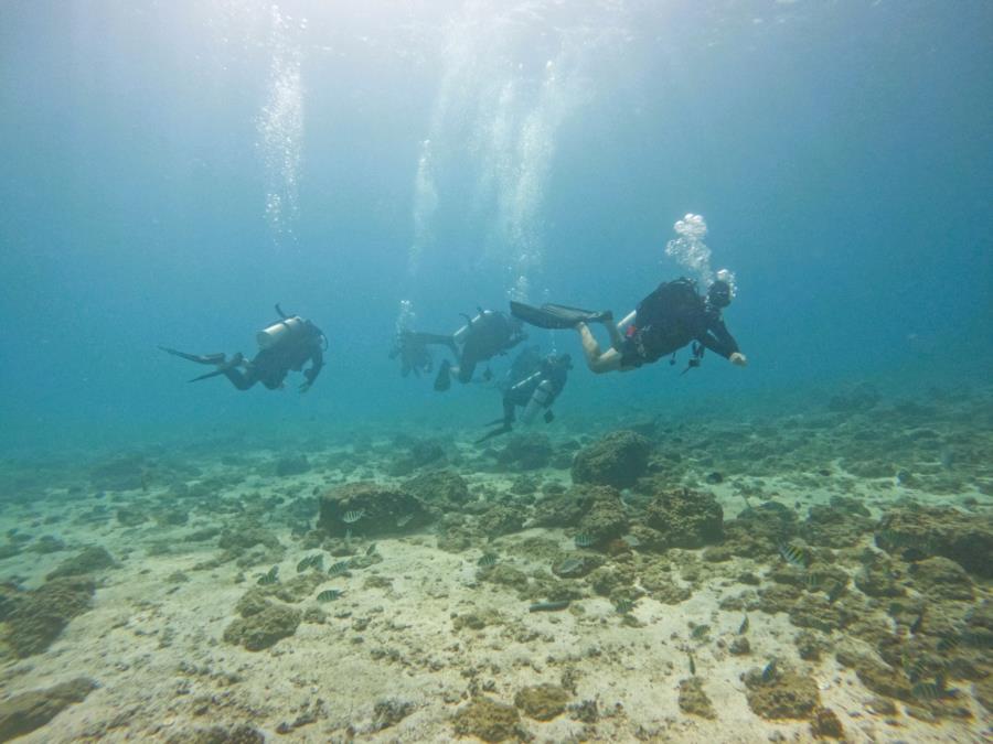 dive trip fujairah