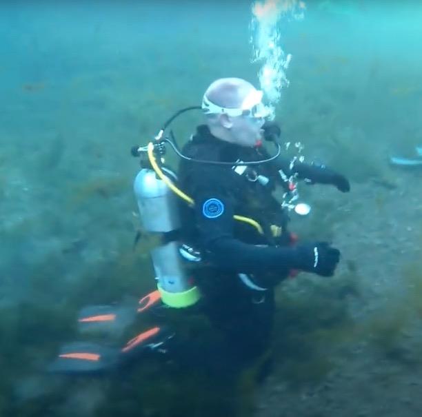 My first dive