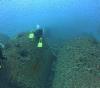 Dixie Arrow Dive