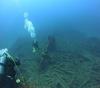 DIXIE ARROW DIVE