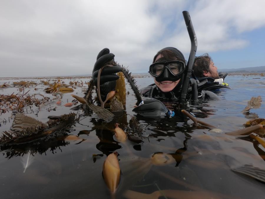 Monterey Bay