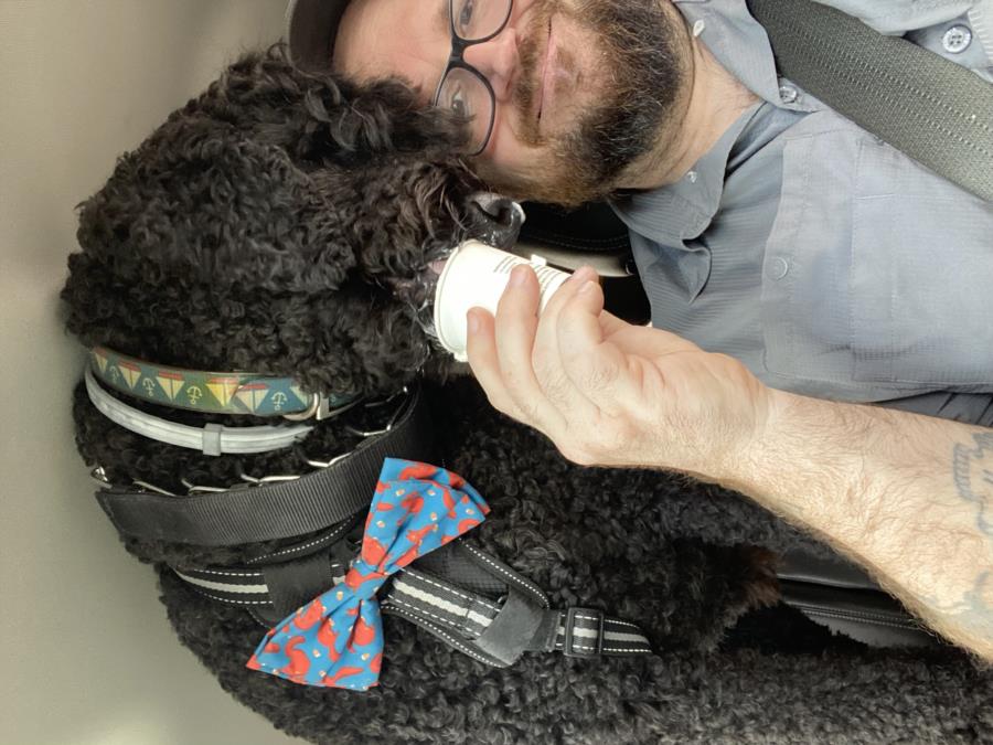 olivers-handler’s Profile Photo