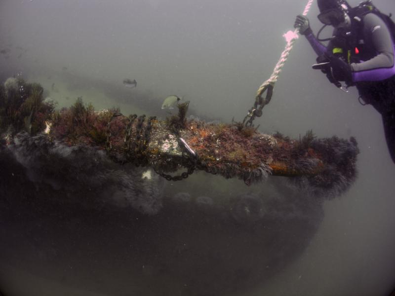 Myrtle Beach Wreck Diving