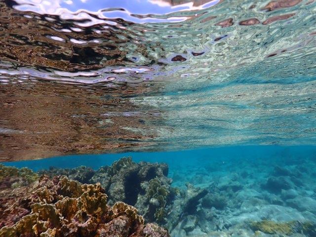 Bonaire