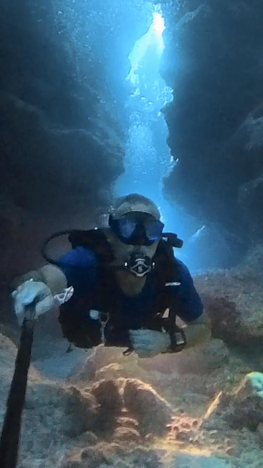 Love diving
