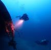 East Dive Tokyo