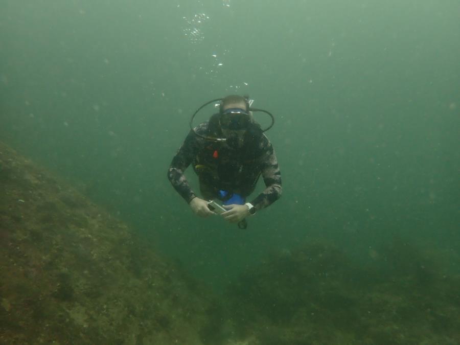 Diving
