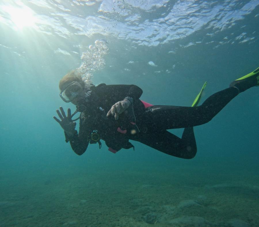Blue Heron Bridge Dive
