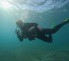 Blue Heron Bridge Dive