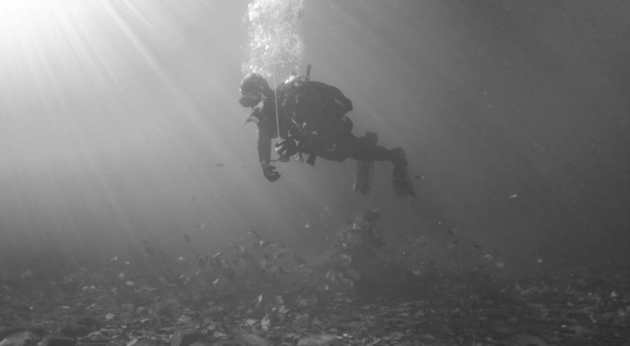 Fall Dive in the Susquehanna River