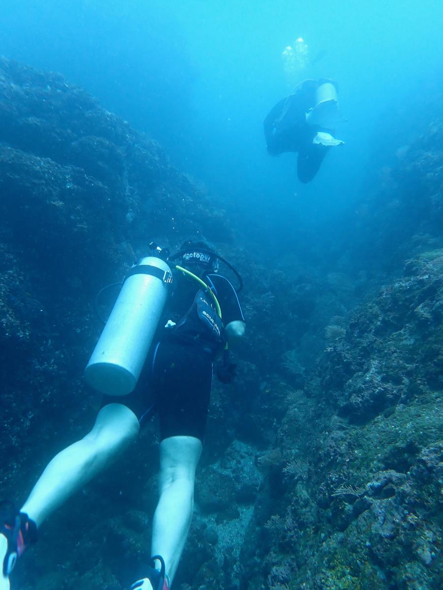 Along the Reef
