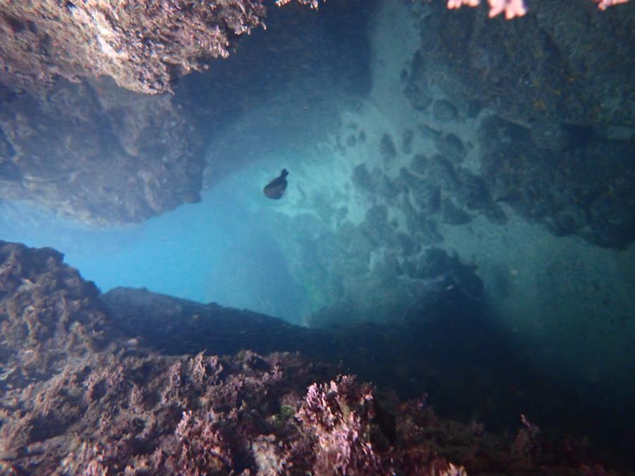 Down the Trench