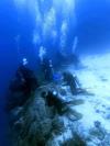 Divers on wall edge