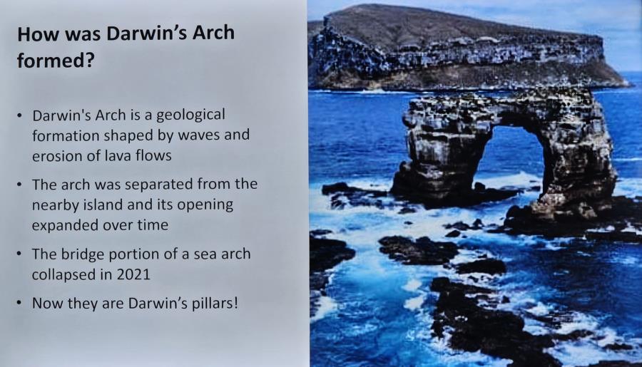 Darwins Arch