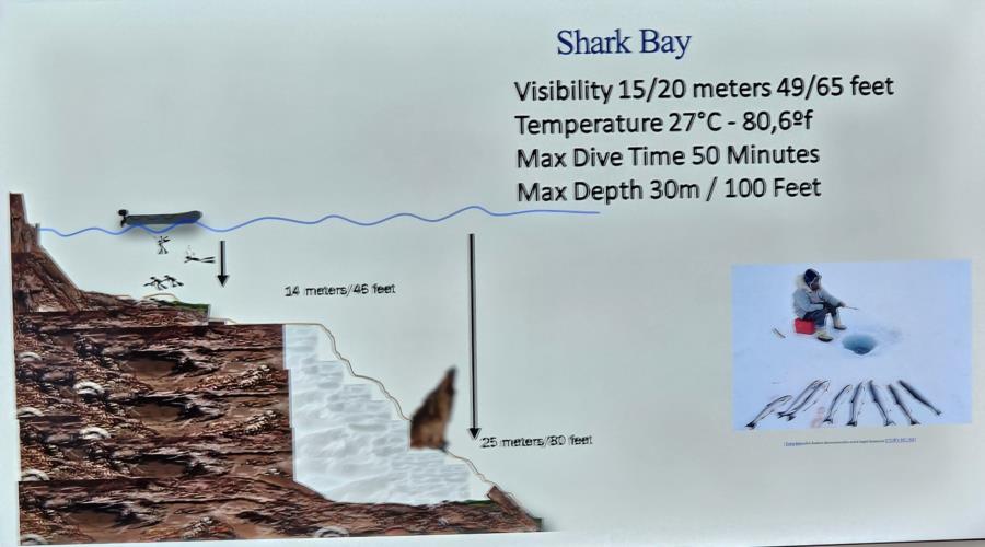 Shark Bay Wolf Island