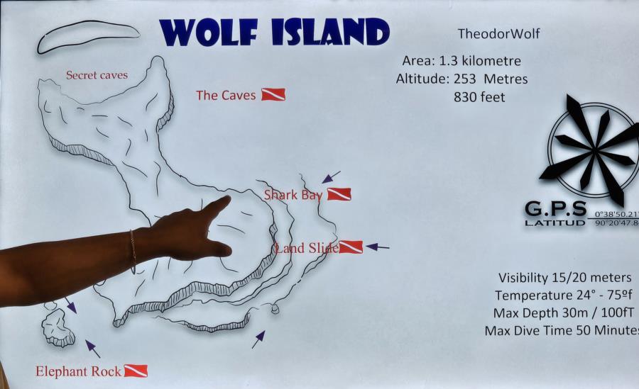 Wolf Island Dive Sites