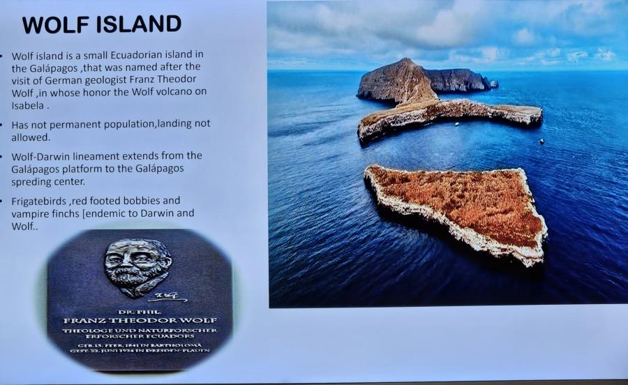 Wolf Island History