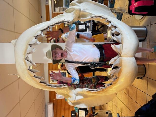 Gil and Megaladon