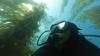 Catalina island selfi