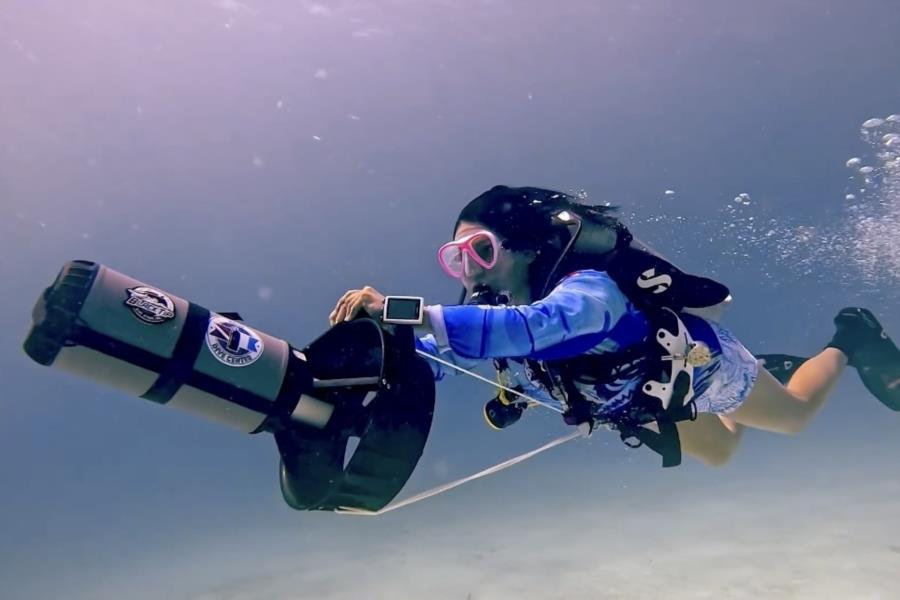 Playa del Carmen Diving