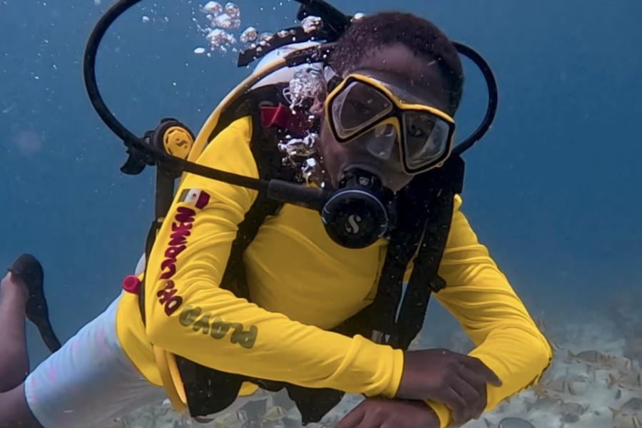 Playa del Carmen Diving
