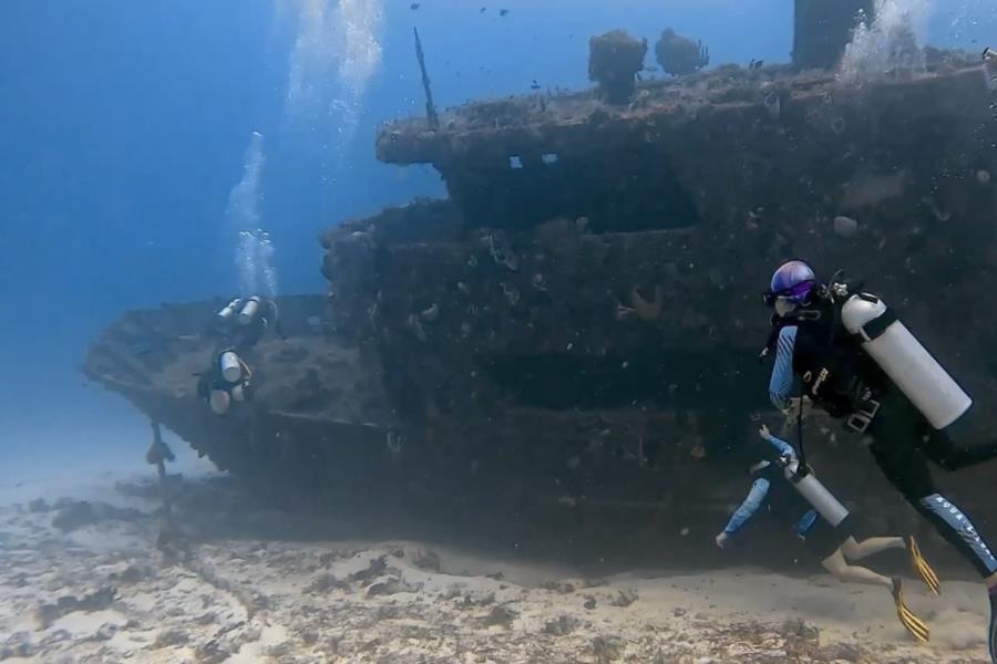 Playa del Carmen Diving