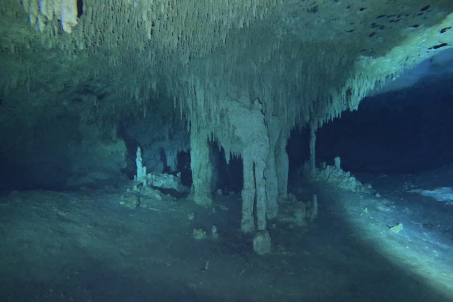 Cenote Diving