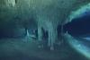 Cenote Diving