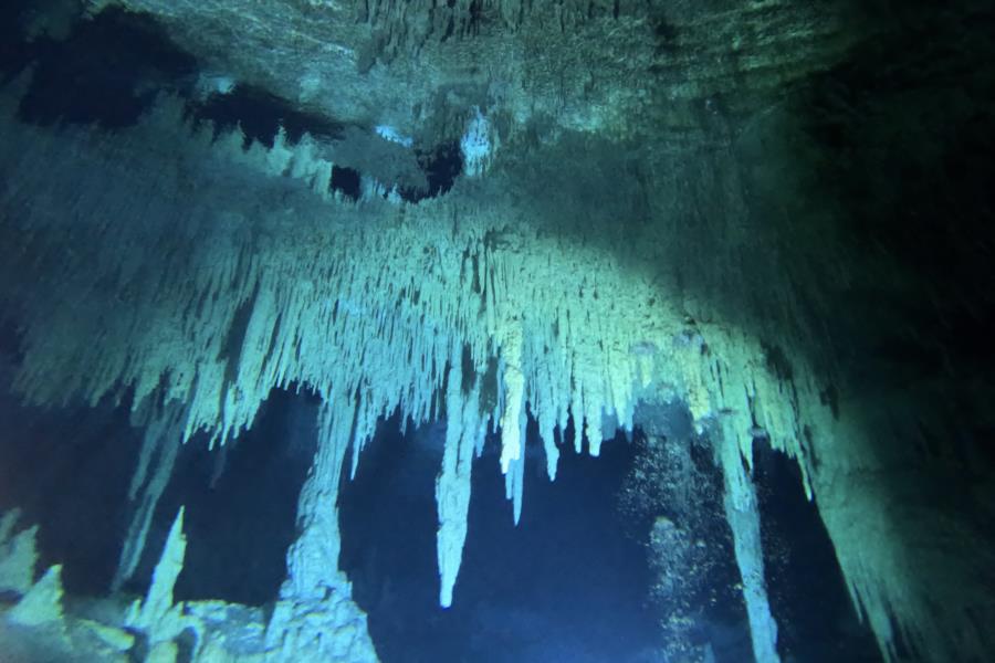 Cenote Diving